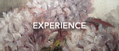 Experience