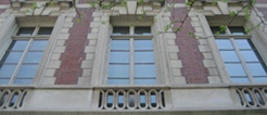 Custom Gallery and Museum Tours